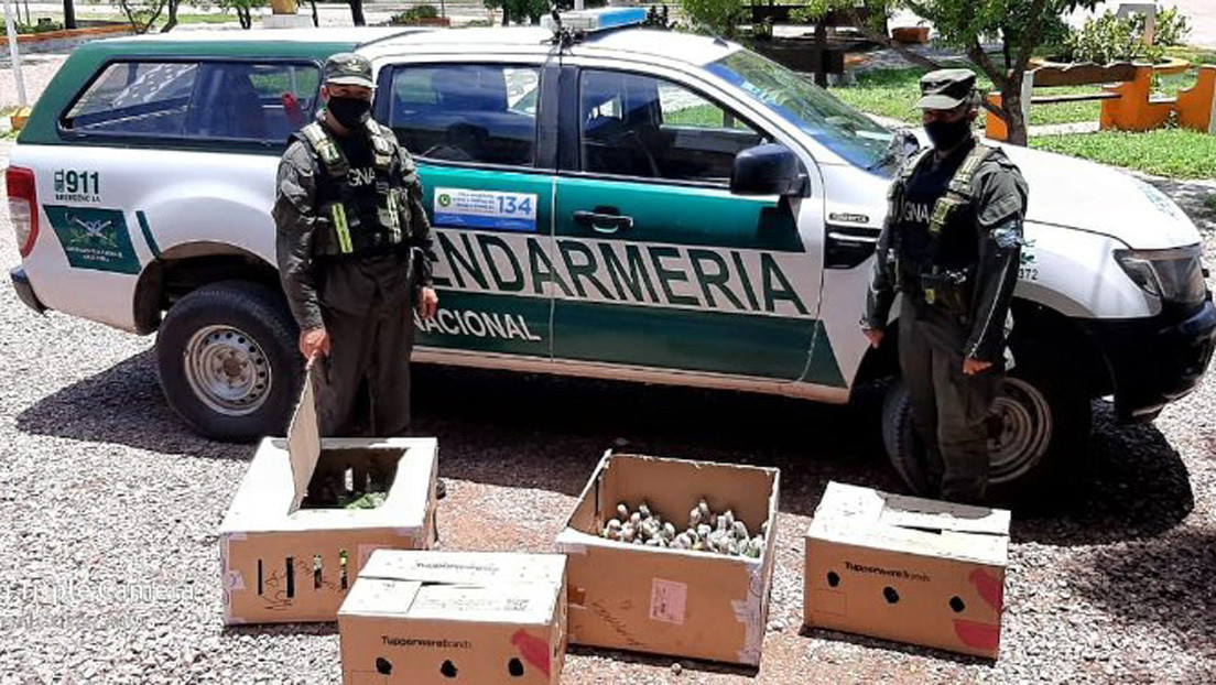 Gendarmes paran un auto por el alto volumen de la música y encuentran 216 loros habladores transportados de contrabando en el maletero