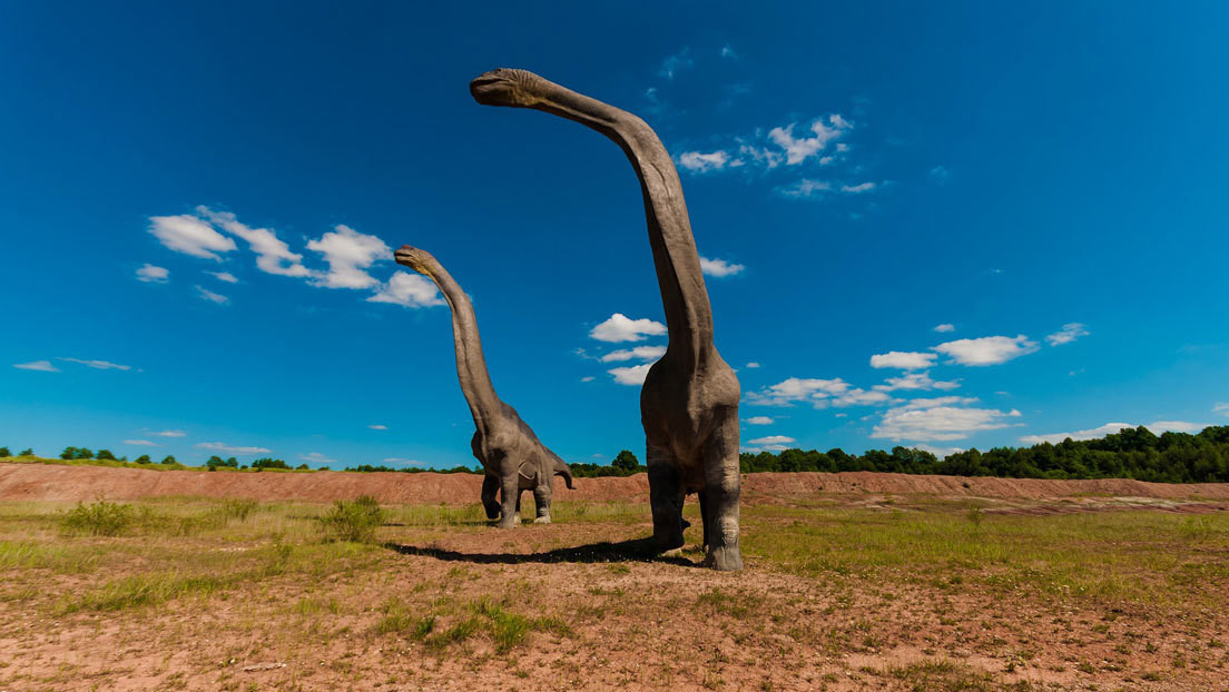 Los fósiles de un dinosaurio hallados en Argentina podrían pertenecer al animal más grande que pisó la Tierra