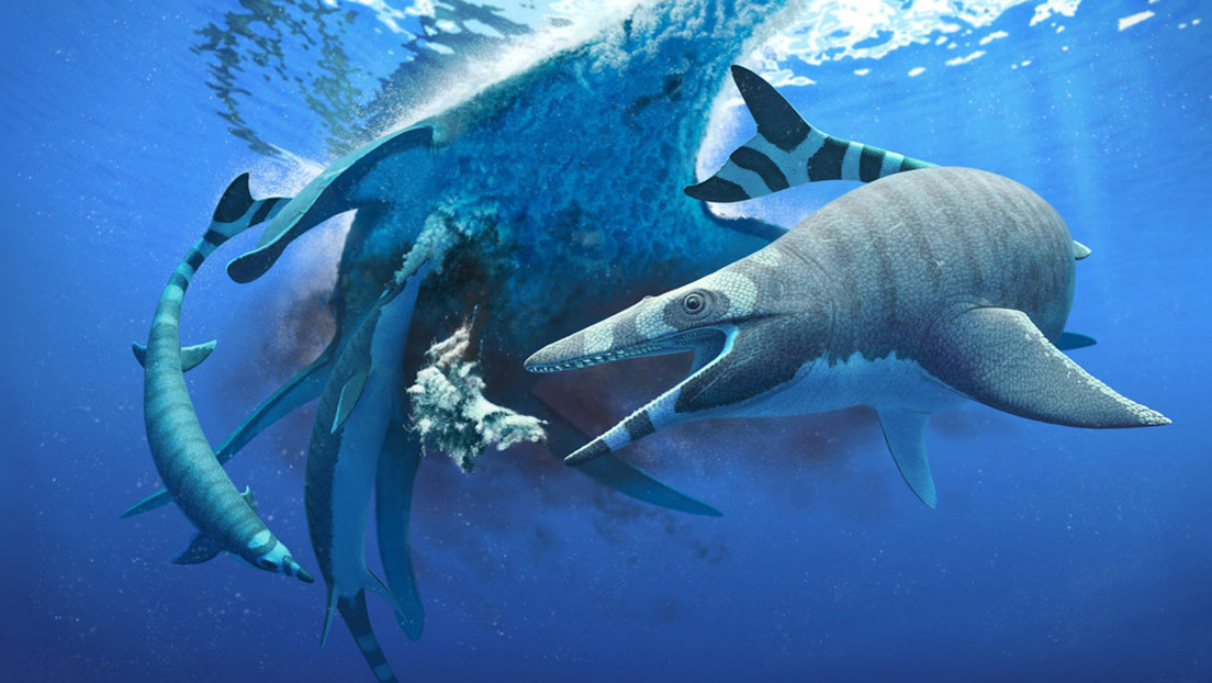 Identifican un lagarto marino del Cretácico con dientes como los del tiburón que le dotaban de una mordedura mortal