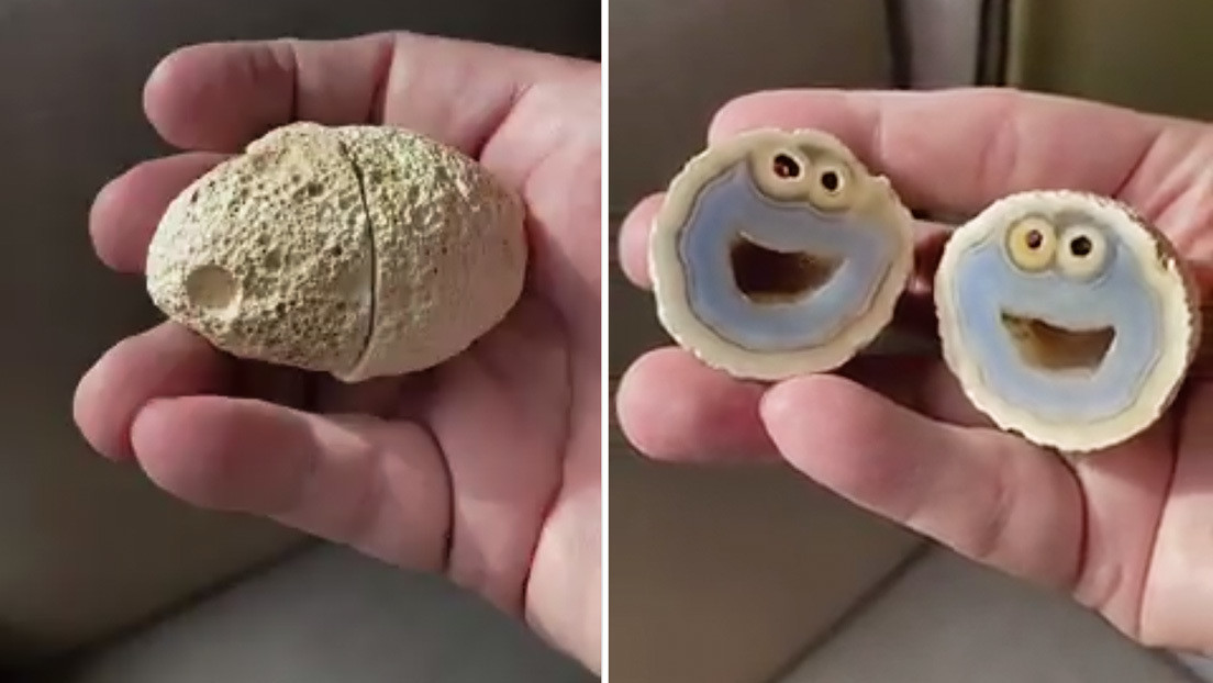 Encuentran una rara roca volcánica con dos caras similares al Monstruo de las galletas de 'Plaza Sésamo' (VIDEO)