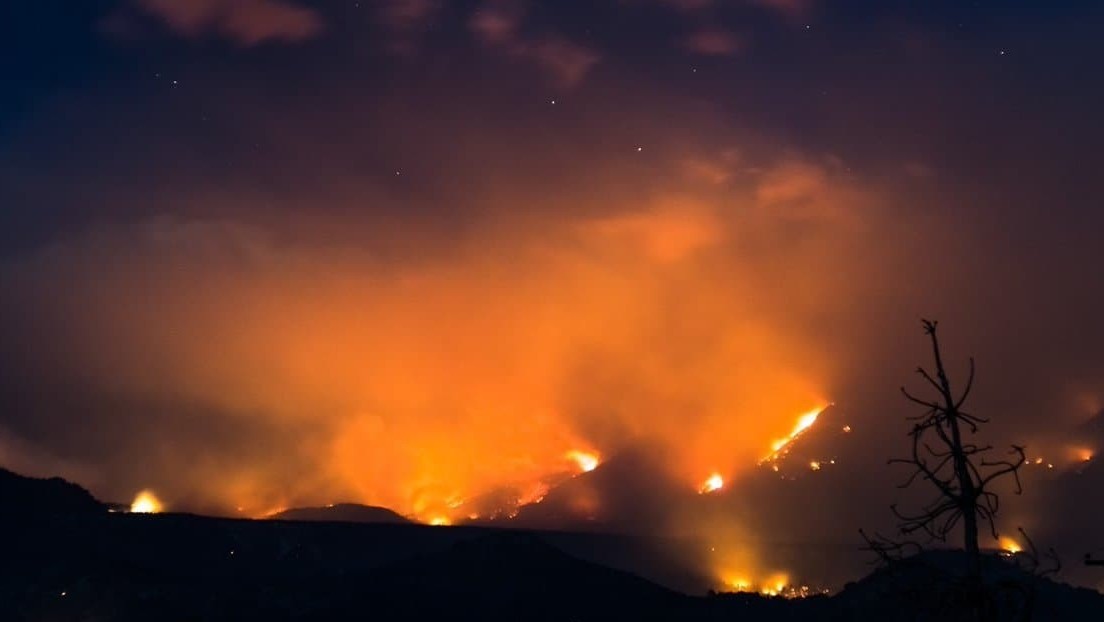 Un incendio en la Patagonia argentina arrasa con más de 7.000 hectáreas de bosque