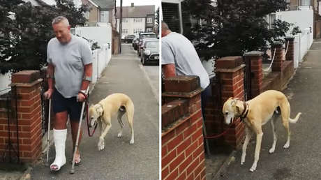 Gasta 400 dólares en hacer examinar la cojera de su perro, solo para descubrir que el can imitaba a su dueño