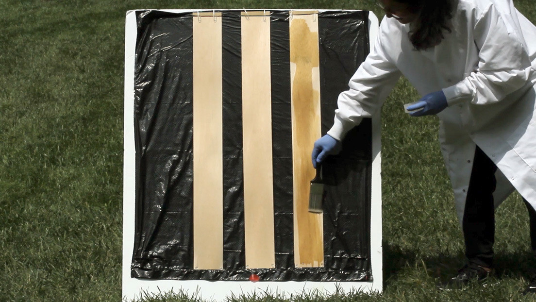 Encuentran un modo sencillo de volver transparente la madera (VIDEO)