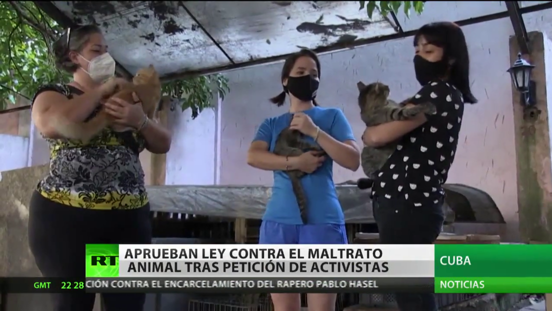Cuba aprueba la ley contra el maltrato de los animales tras la petición de activistas