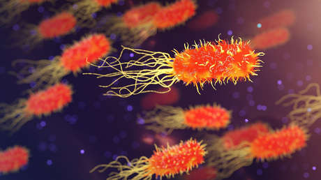 Descubren cómo ciertas bacterias cambian de forma para resistir a los antibióticos
