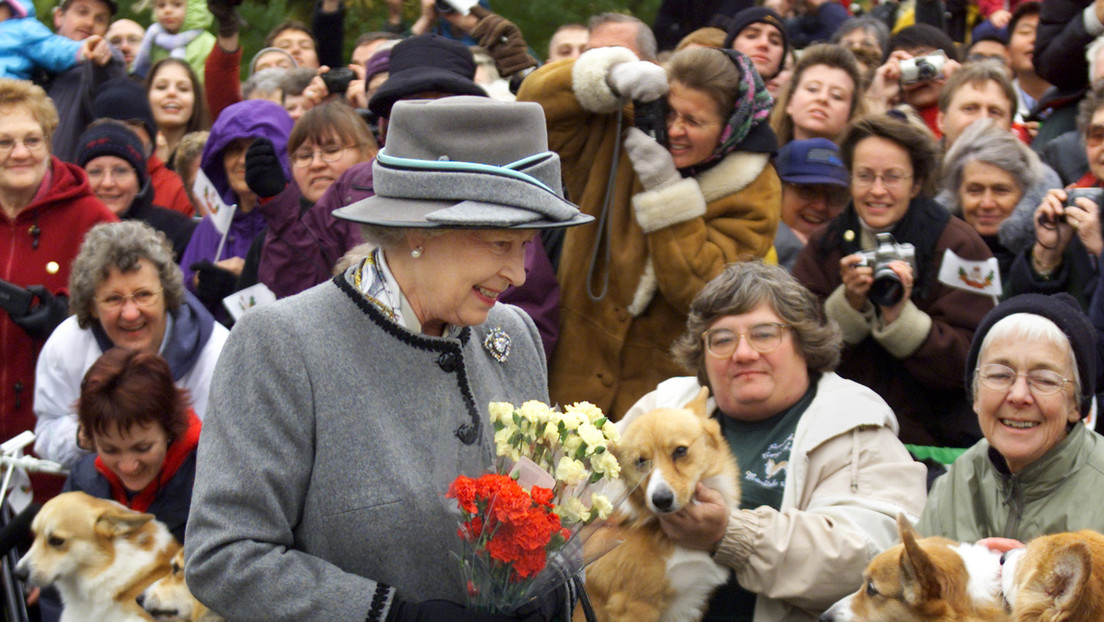 Regalan dos cachorros a la reina Isabel II en medio de la tensión con el príncipe Enrique y Meghan Markle