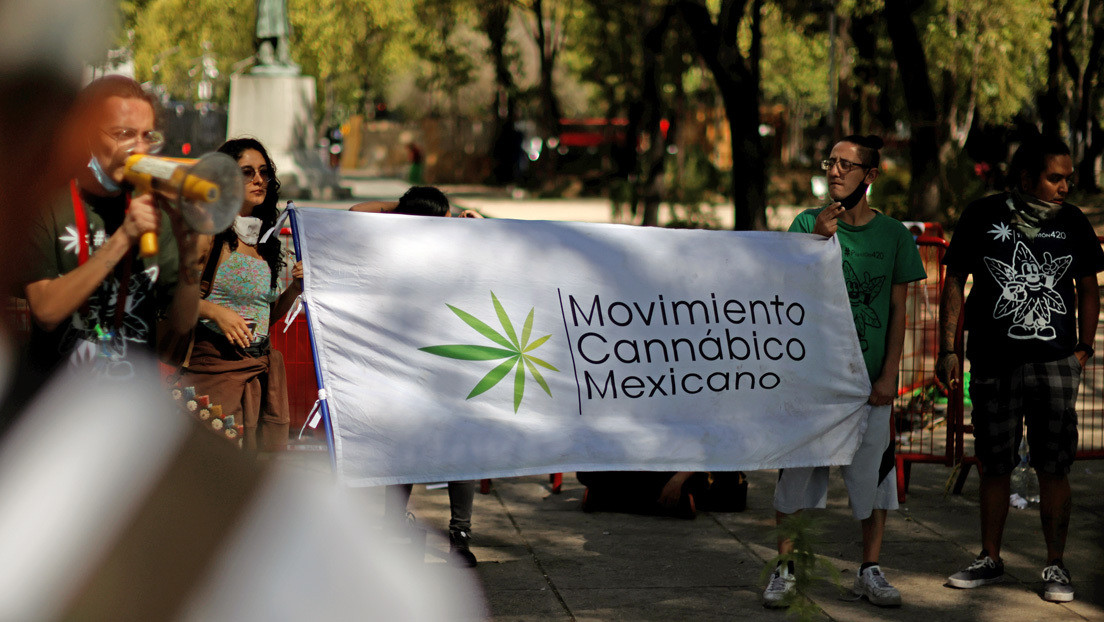 México legaliza la marihuana, resquebraja políticas prohibicionistas y abre la puerta a un negocio multimillonario