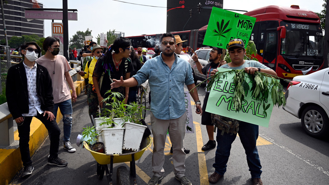 Hacia la histórica legalización de la marihuana en México: el dictamen es modificado y pasa al Senado para la votación final