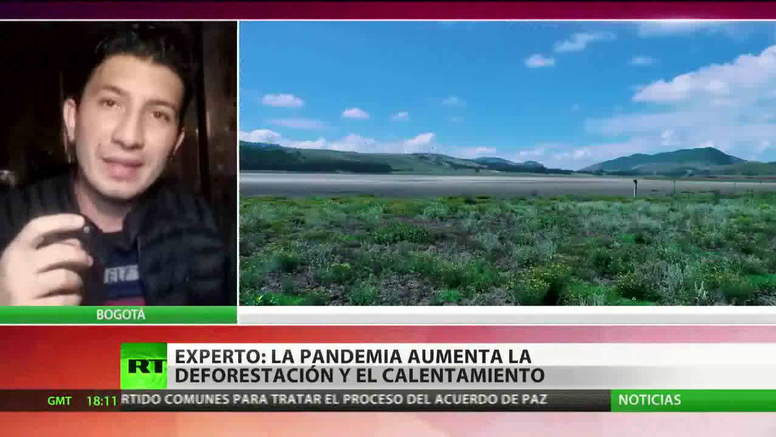 Experto advierte que la pandemia aumenta la deforestación y el calentamiento global