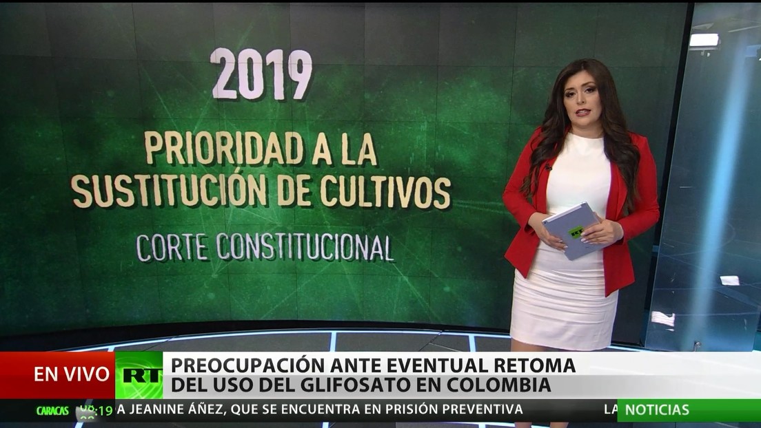 Preocupación ante la eventual retoma del uso del glifosato en Colombia
