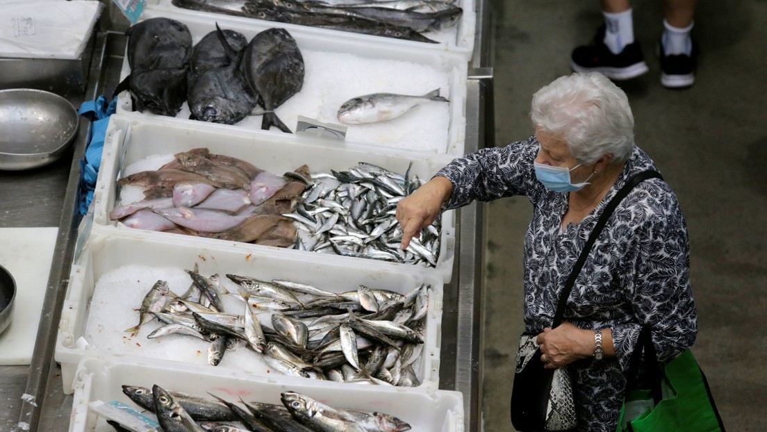 'Gato por liebre' en la pescadería: una ONG denuncia engaños al cliente en el 44 % en la pesca vendida en cuatro estados de México