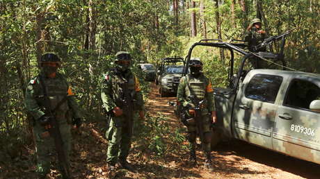 Bloomberg: un funcionario de la Casa Blanca declaró  el fracaso de la guerra contra el narcotráfico ante el Gobierno mexicano