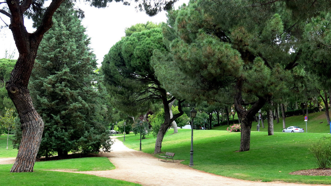 Detenidos 13 jóvenes acusados de abusar sexualmente de una adolescente en un parque de Madrid