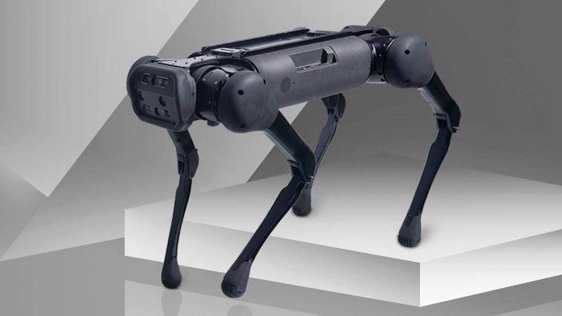 VIDEO: Un 'ejército' de perros robot chinos con inteligencia artificial luce su destreza para moverse al unísono