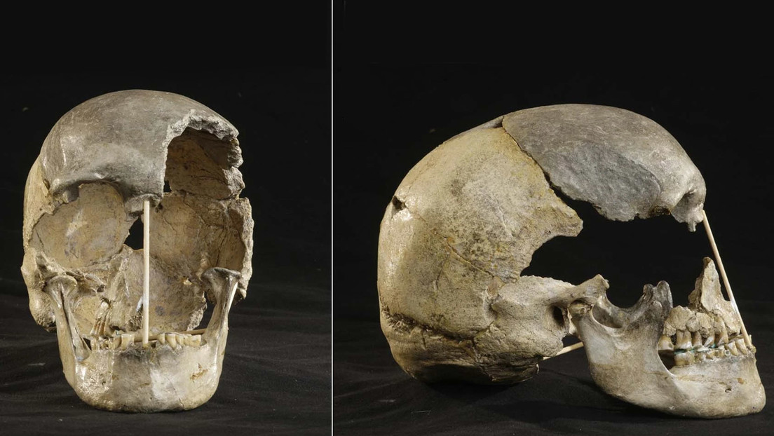 Un cráneo de hace 45.000 años permite identificar el genoma más antiguo correspondiente a los humanos modernos de Europa conocido hasta la fecha
