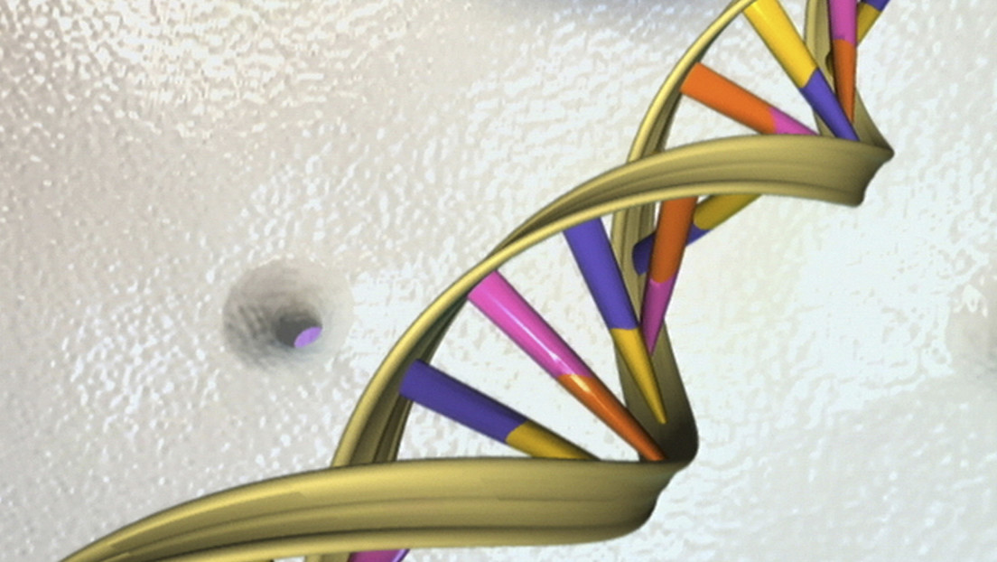 Descubren que la edición del genoma CRISPR-Cas9 causa mutaciones no deseadas en el ADN de embriones