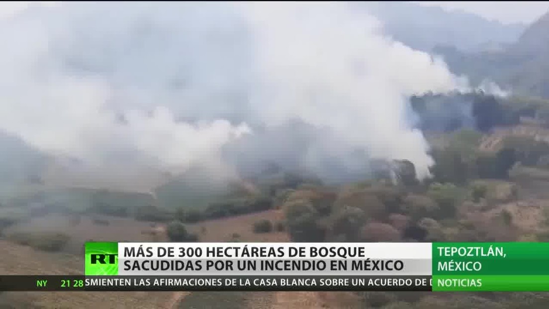 Un incendio en México afecta a más de 300 hectáreas de bosque