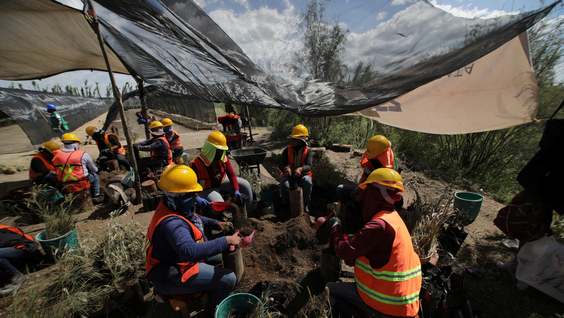 El Senado de México aprueba reformas para regular la subcontratación laboral: ¿qué impactos tiene en los trabajadores?