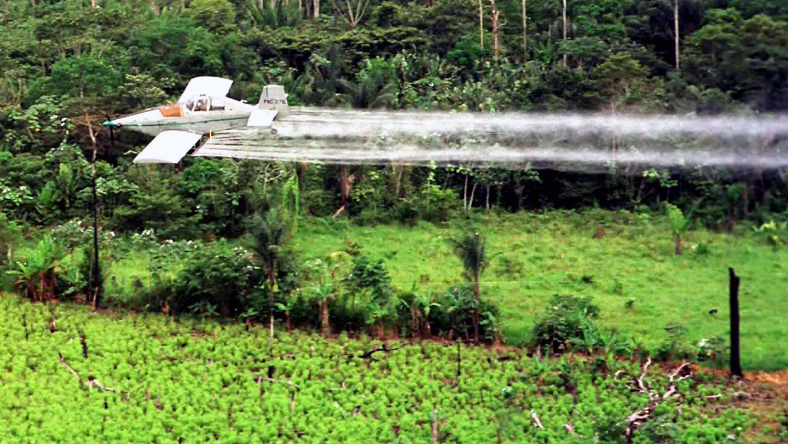 Una comisión del Senado colombiano tumba el proyecto de prohibición de las aspersiones aéreas con glifosato