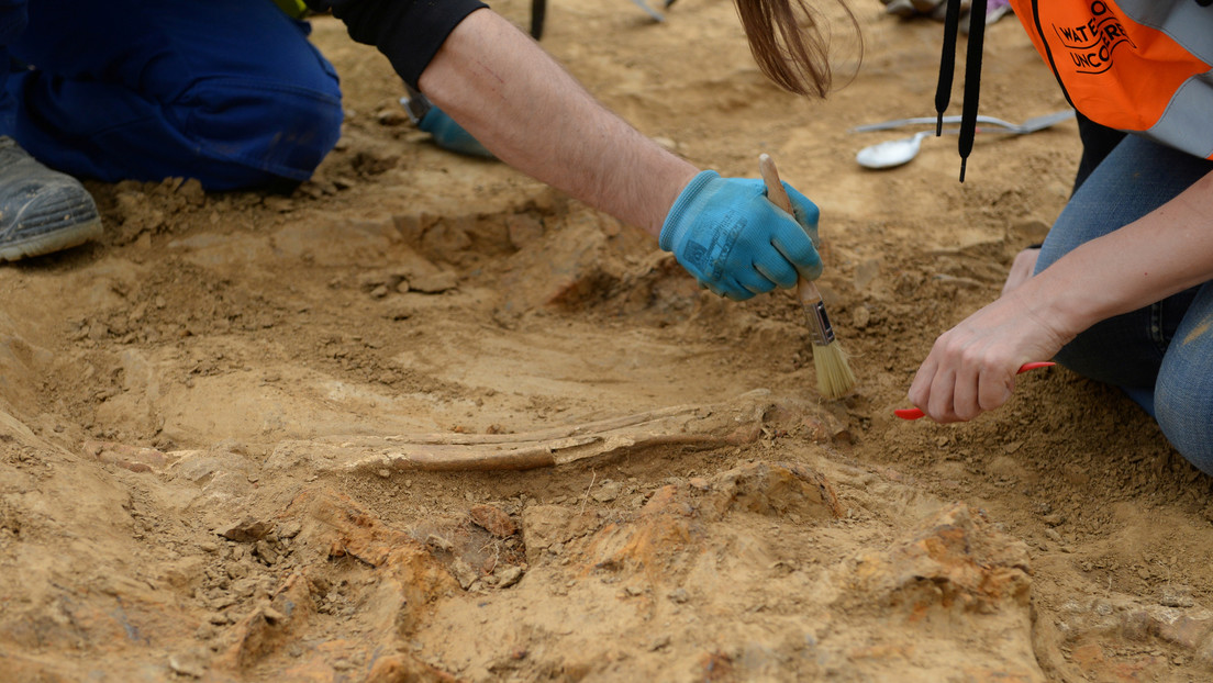 Un agricultor irlandés descubre por accidente una "intacta" e "inusual" tumba de 4.000 años de antigüedad