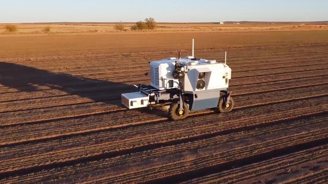 Un nuevo robot podría arrancar de cuajo uno de los mayores desafíos de la industria agrícola