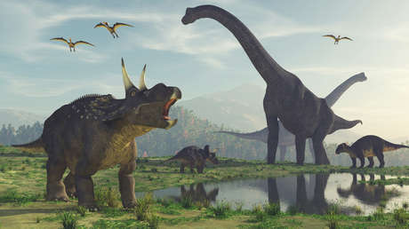 Imagen ilustrativa