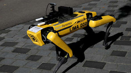 VIDEO: El perro robot Spot es probado en un entrenamiento con soldados franceses