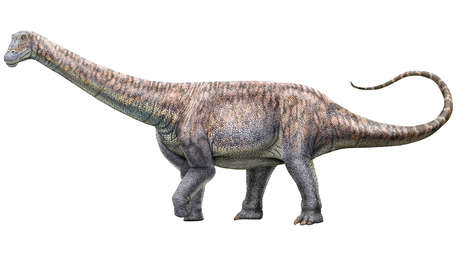 Chile identifica una nueva especie de dinosaurios que habitó hace millones de años en el desierto de Atacama