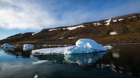 Investigadores descubren esponjas marinas 'andantes' en la costa norte de Rusia
