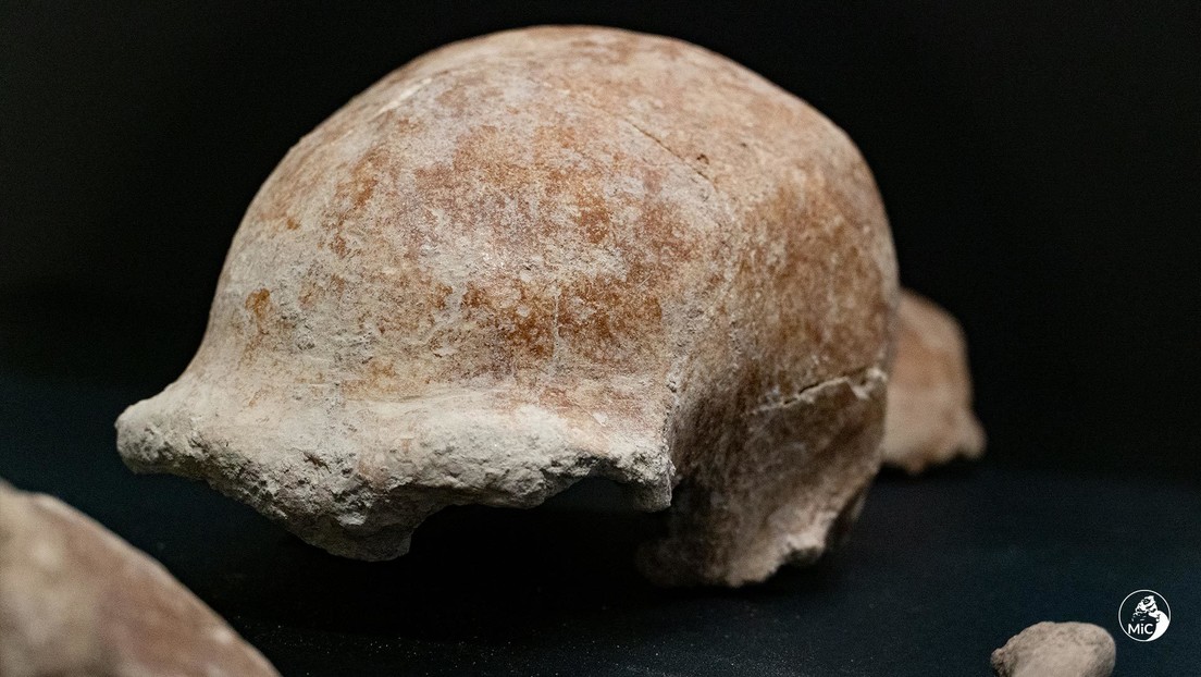 FOTOS: Hallan en una cueva de Italia los fósiles de nueve neandertales de entre 50.000 y 100.000 años