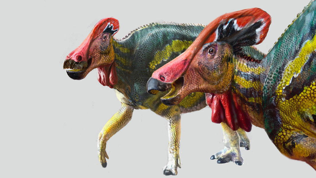 Paleontólogos mexicanos identifican una nueva especie de dinosaurio "platicador"