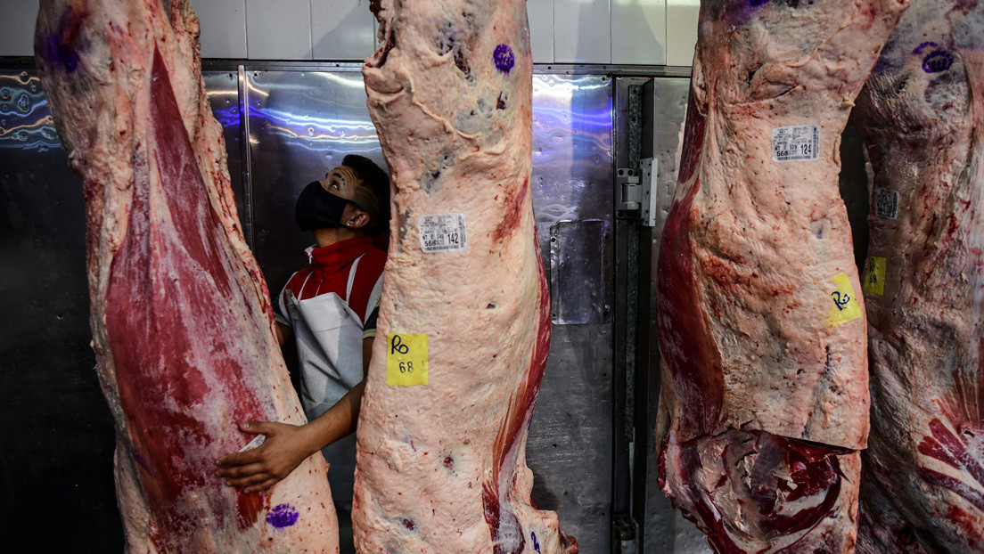 ¿Argentina sin carne? Productores amenazan con cesar la comercialización ante la suspensión de exportaciones ordenada por Alberto Fernández