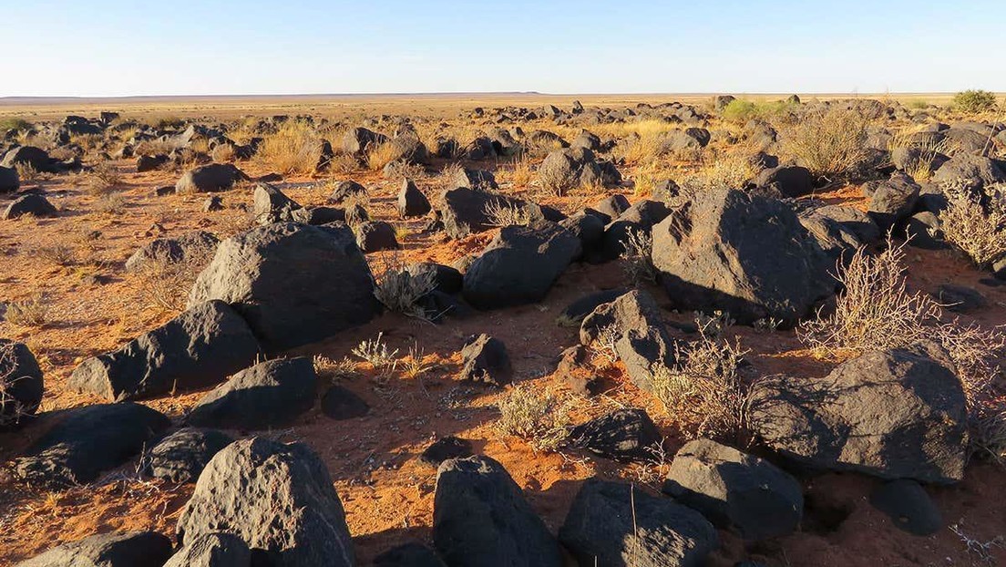 animales de la edad de piedra