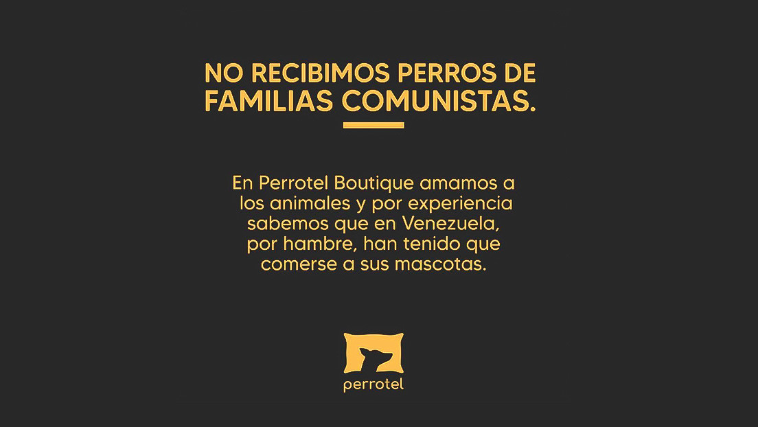 "No recibimos perros de familias comunistas": La insólita prohibición de la dueña de un albergue canino en Perú