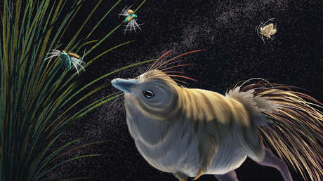 FOTOS: Analizan los restos de un "extraño" dinosaurio y descubren que fue uno de los primeros depredadores nocturnos