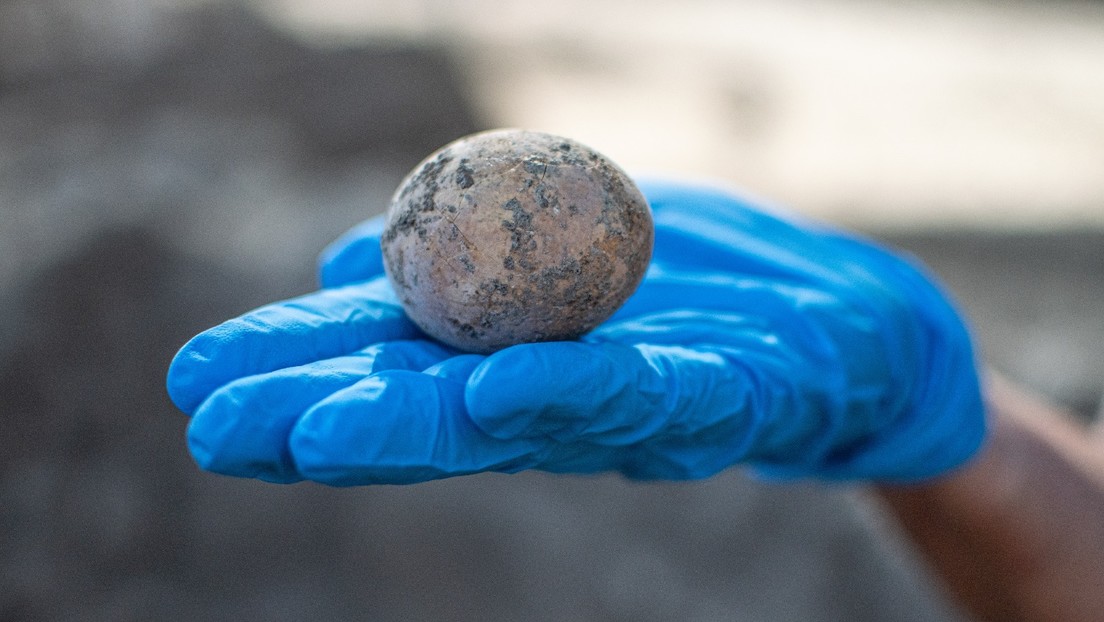 Arqueólogos descubren un huevo de gallina entero de hace 1.000 años y lo rompen accidentalmente
