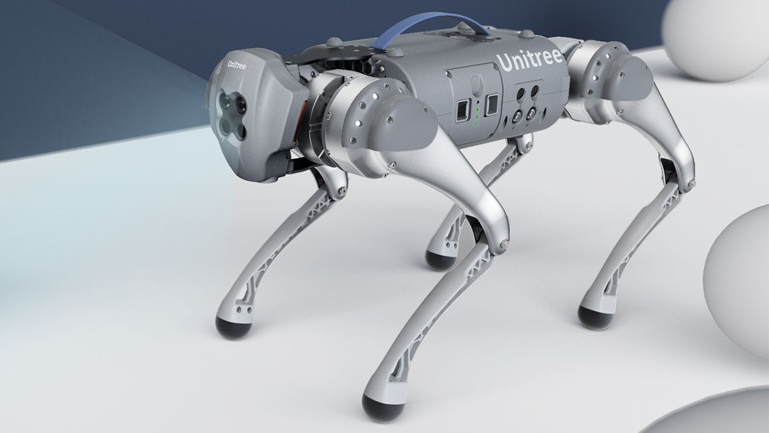 Lanzan en China una serie de perros robot 'acompañantes' mucho menos costosos que sus análogos (VIDEO)