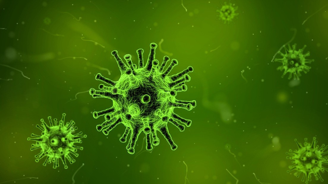 Encuentran evidencias de una epidemia de coronavirus ocurrida hace más de 20.000 años