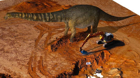 Descubren los restos del dinosaurio más grande de Australia y uno de los de mayor tamaño del mundo
