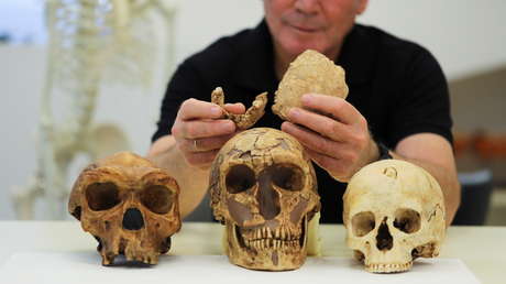 'Homo Nesher Ramla': descubren una nueva especie humana en Israel
