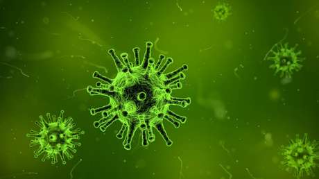 Encuentran evidencias de una epidemia de coronavirus ocurrida hace más de 20.000 años