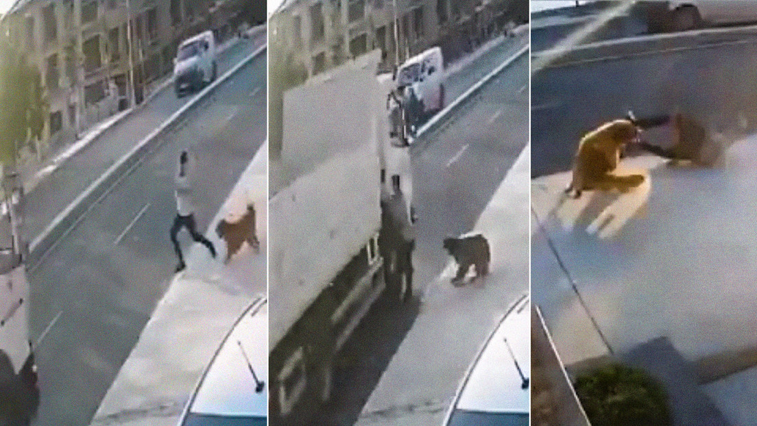 Un perro asusta con su ladrido a un peatón y provoca que un camión lo atropelle