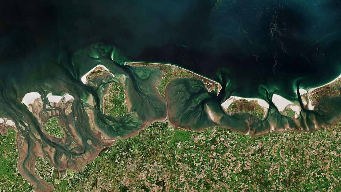 Publican una imagen satelital de una gran floración de algas en el mar del Norte