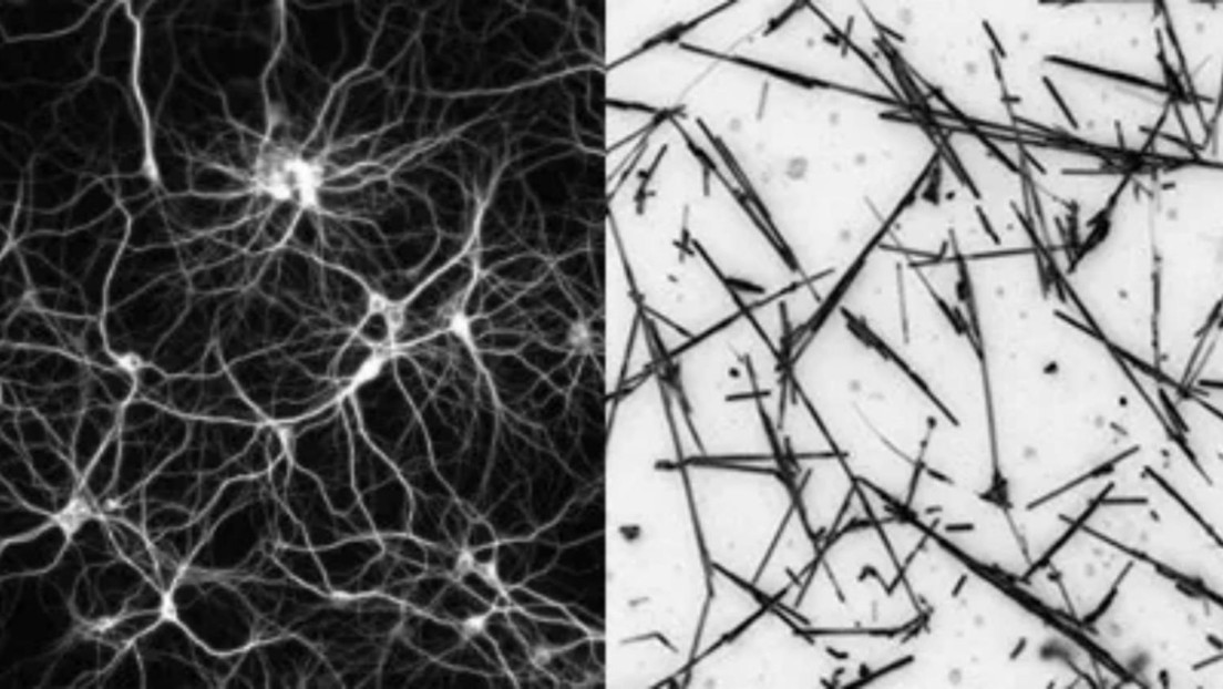 Crean una red de nanocables similar a una estructura neuronal que opera eficientemente cuando está "al borde del caos"