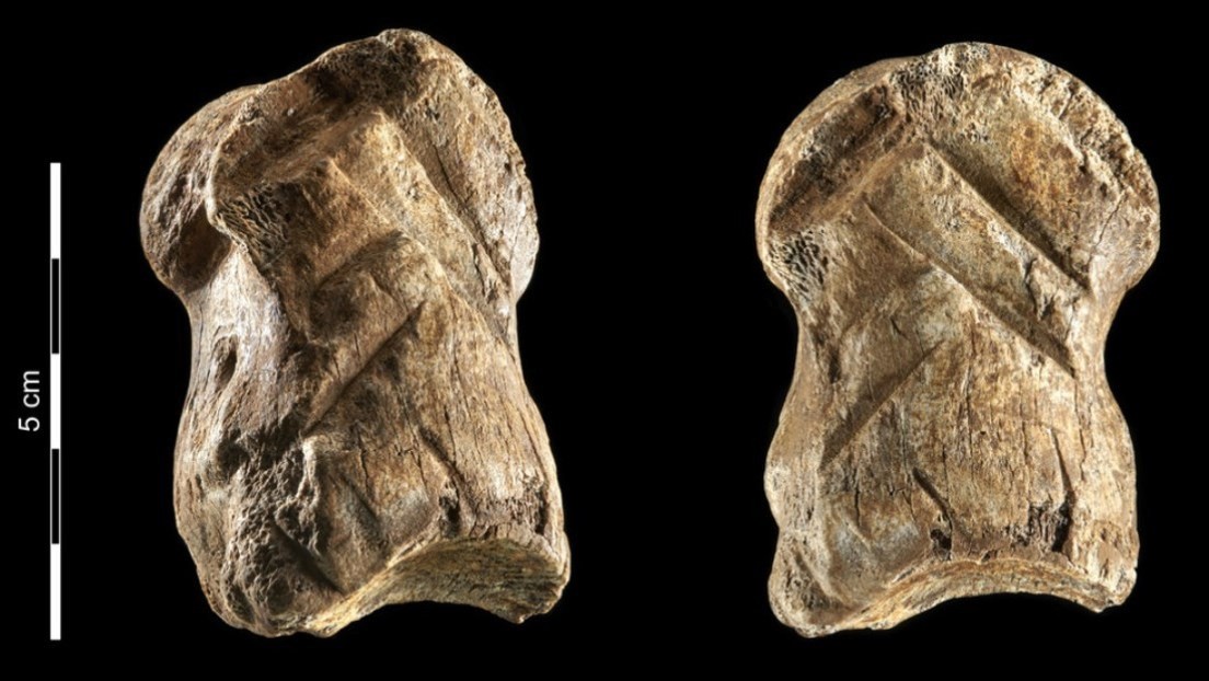 Hallan un hueso tallado por neandertales hace más de 51.000 años que obliga a revisar el origen del arte
