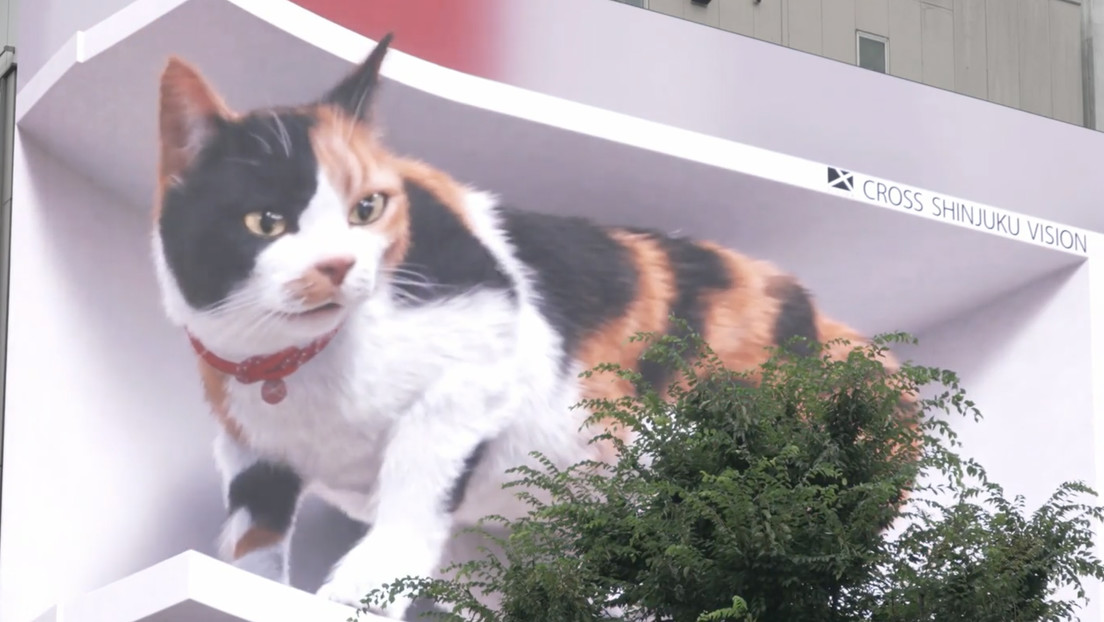 VIDEO: Un gato gigante en 3D deslumbra a los transeúntes en Tokio con murmullos y bostezos
