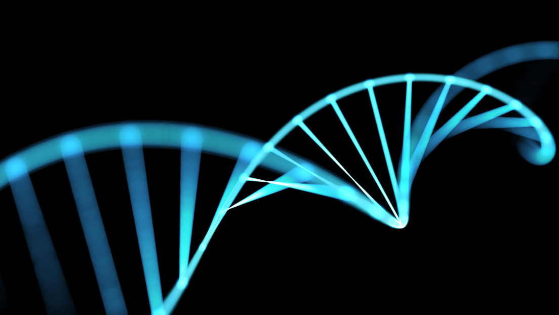 Descubren enigmáticas secuencias de ADN llamadas 'Borgs', que absorben genes de organismos ajenos