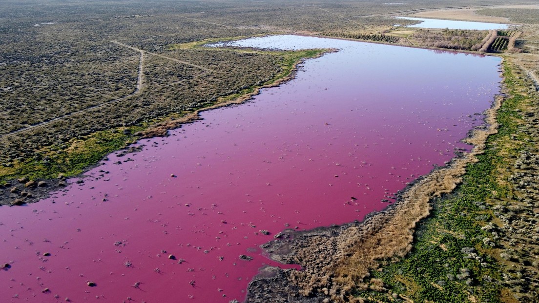 VIDEO: Una laguna se tiñe de rosa en Argentina debido a la contaminación por el vertido de residuos de empresas pesqueras