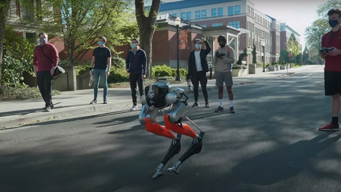 VIDEO: Robot bípedo 'ciego' recorre por primera vez 5 kilómetros en EE.UU.