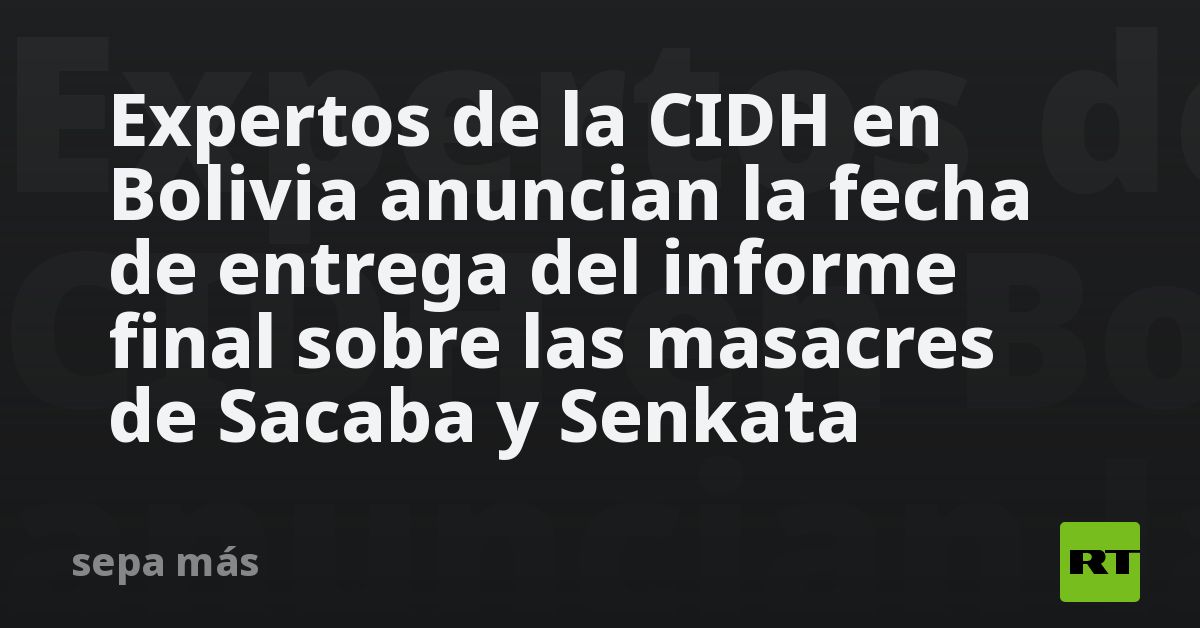 Expertos De La Cidh En Bolivia Anuncian La Fecha De Entrega Del Informe Final Sobre Las Masacres 9349